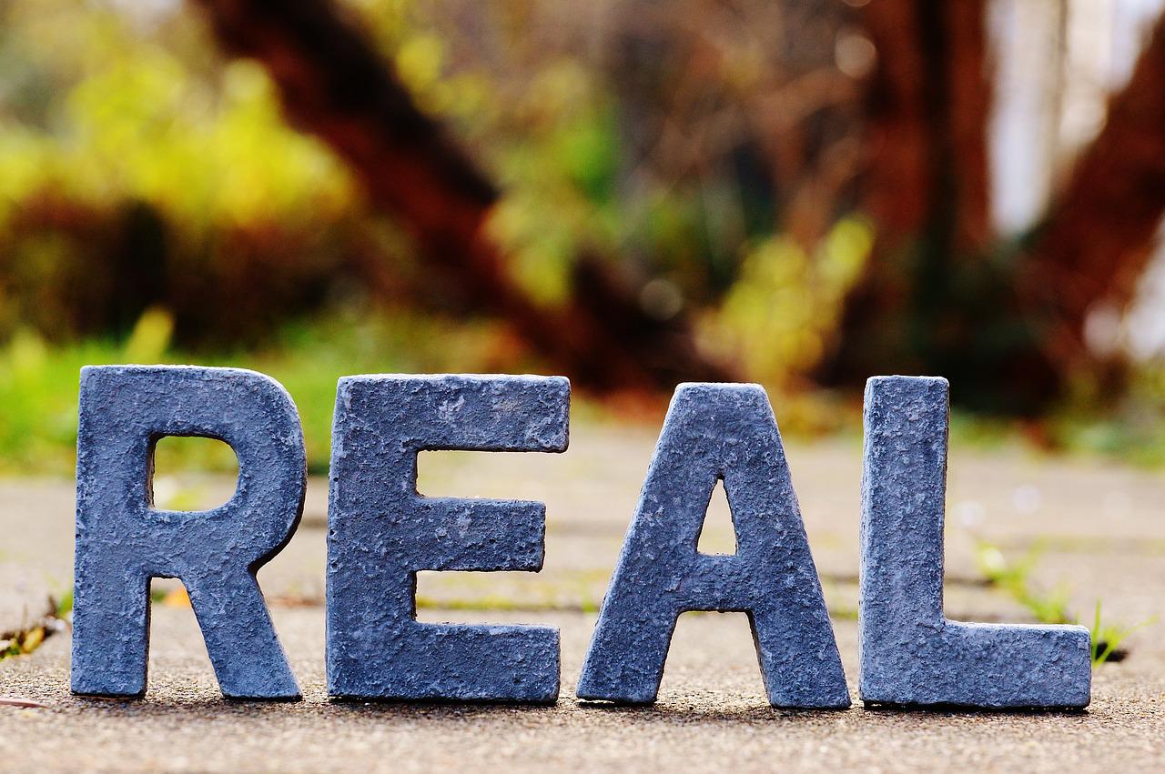 reality, real, really-1098745.jpg